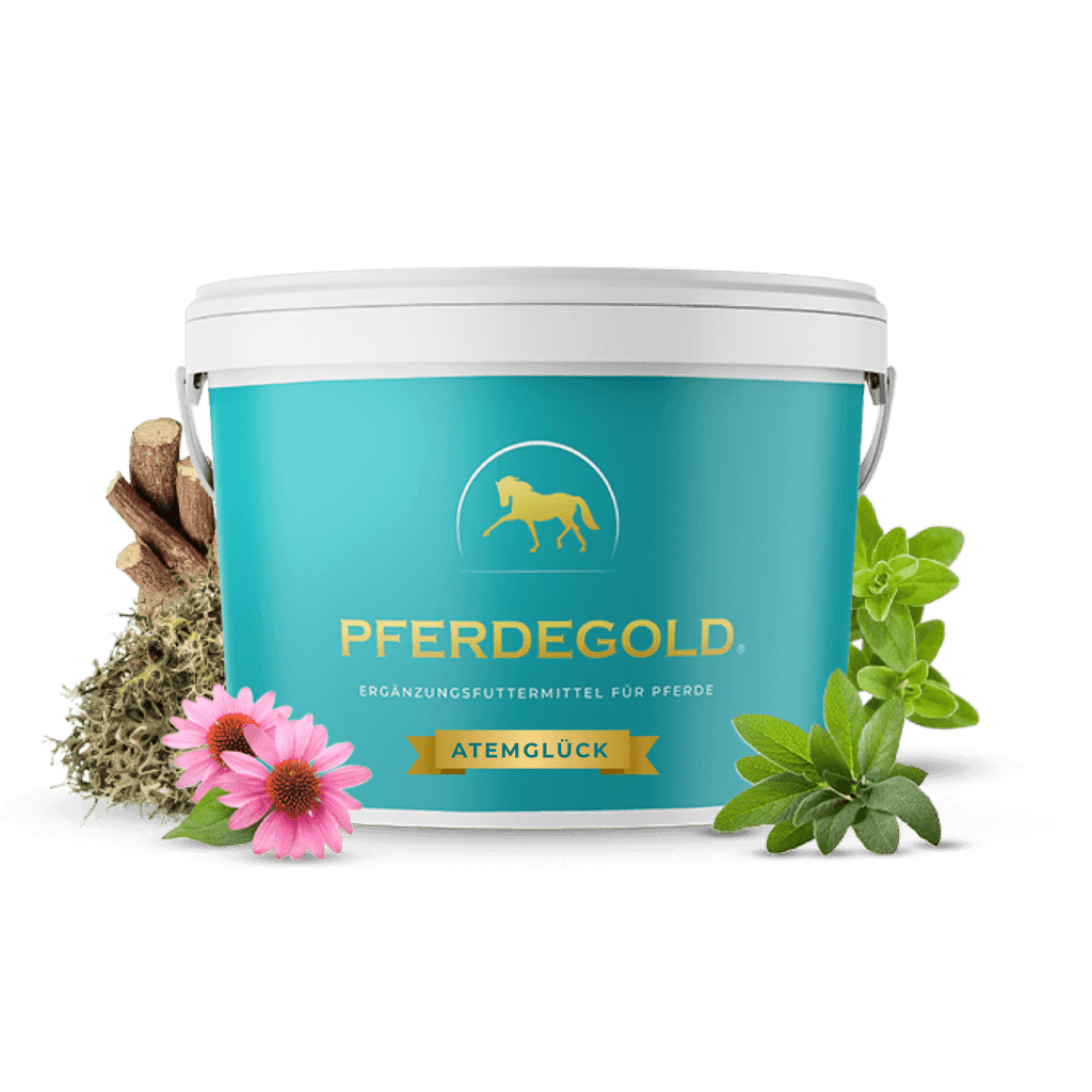 Pferdegold - Atemglück
