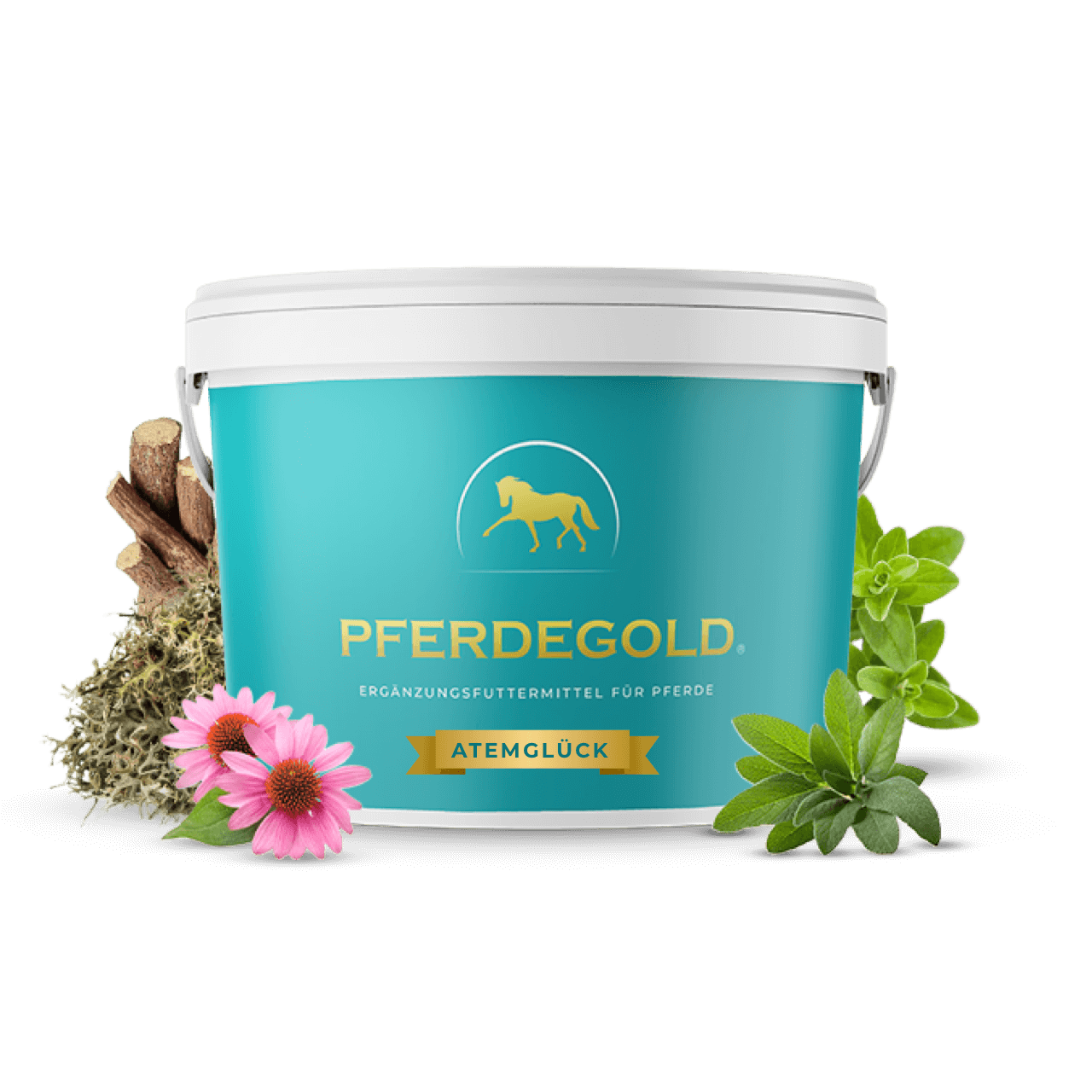Pferdegold - Atemglück