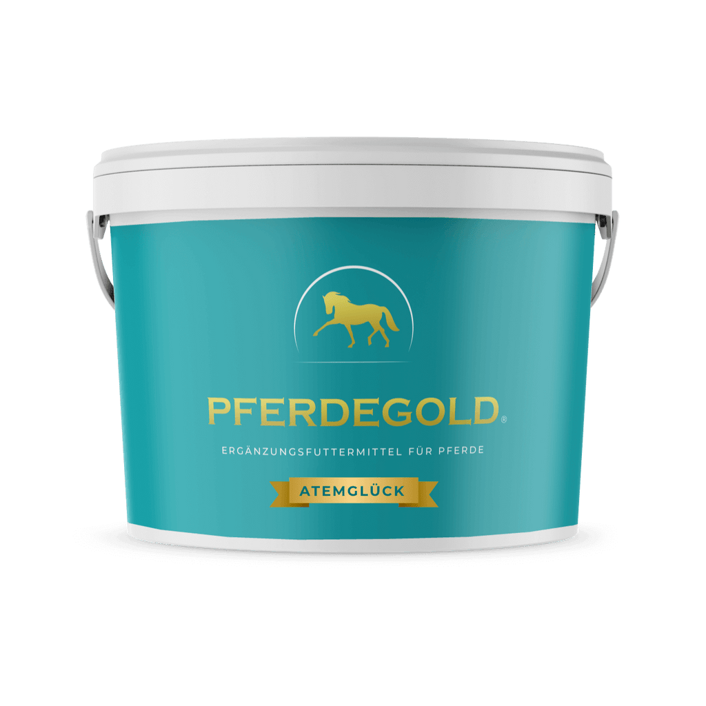 Pferdegold - Atemglück