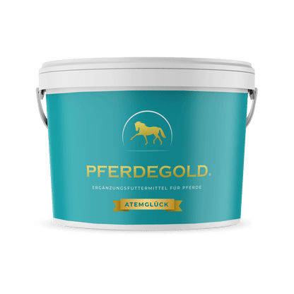 Pferdegold - Atemglück