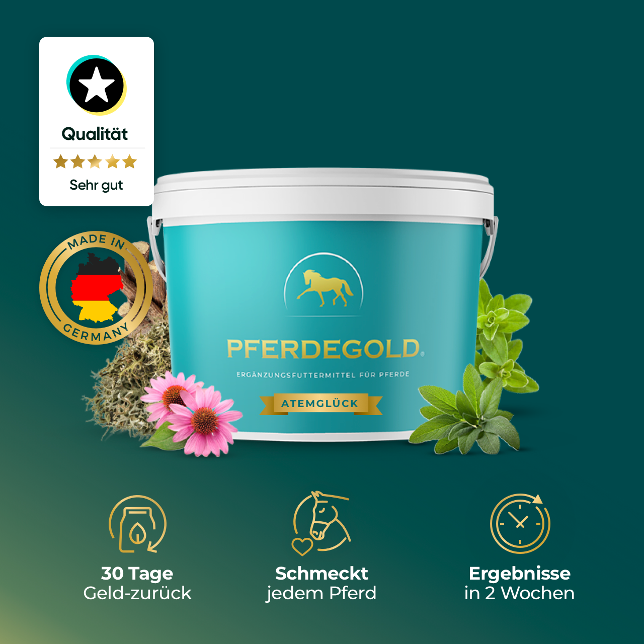 Pferdegold - Atemglück