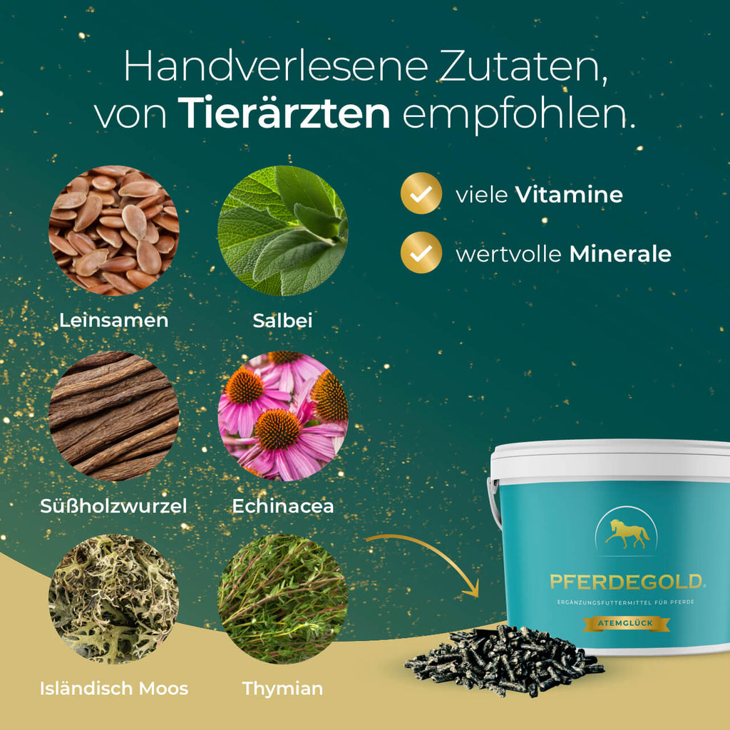 Pferdegold - Atemglück