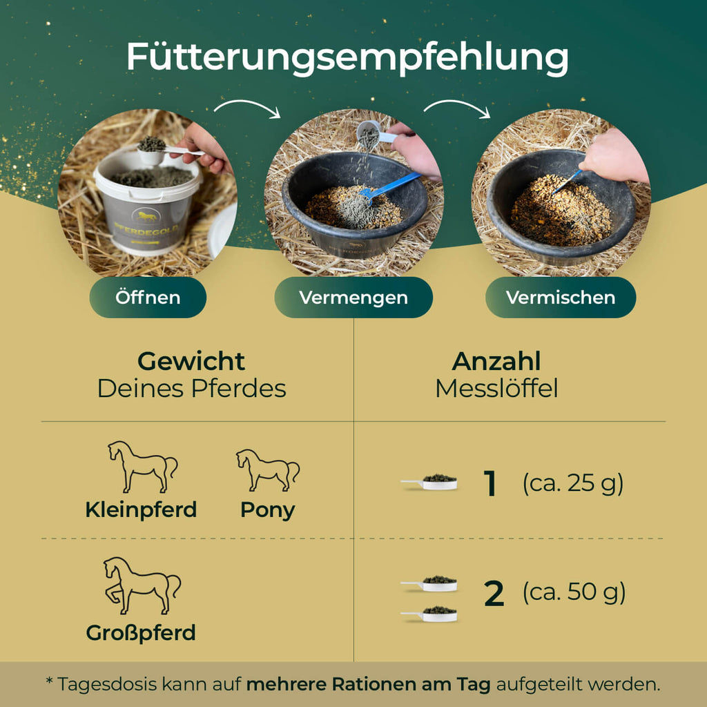 Pferdegold - Atemglück