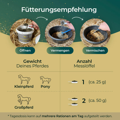 Pferdegold - Atemglück