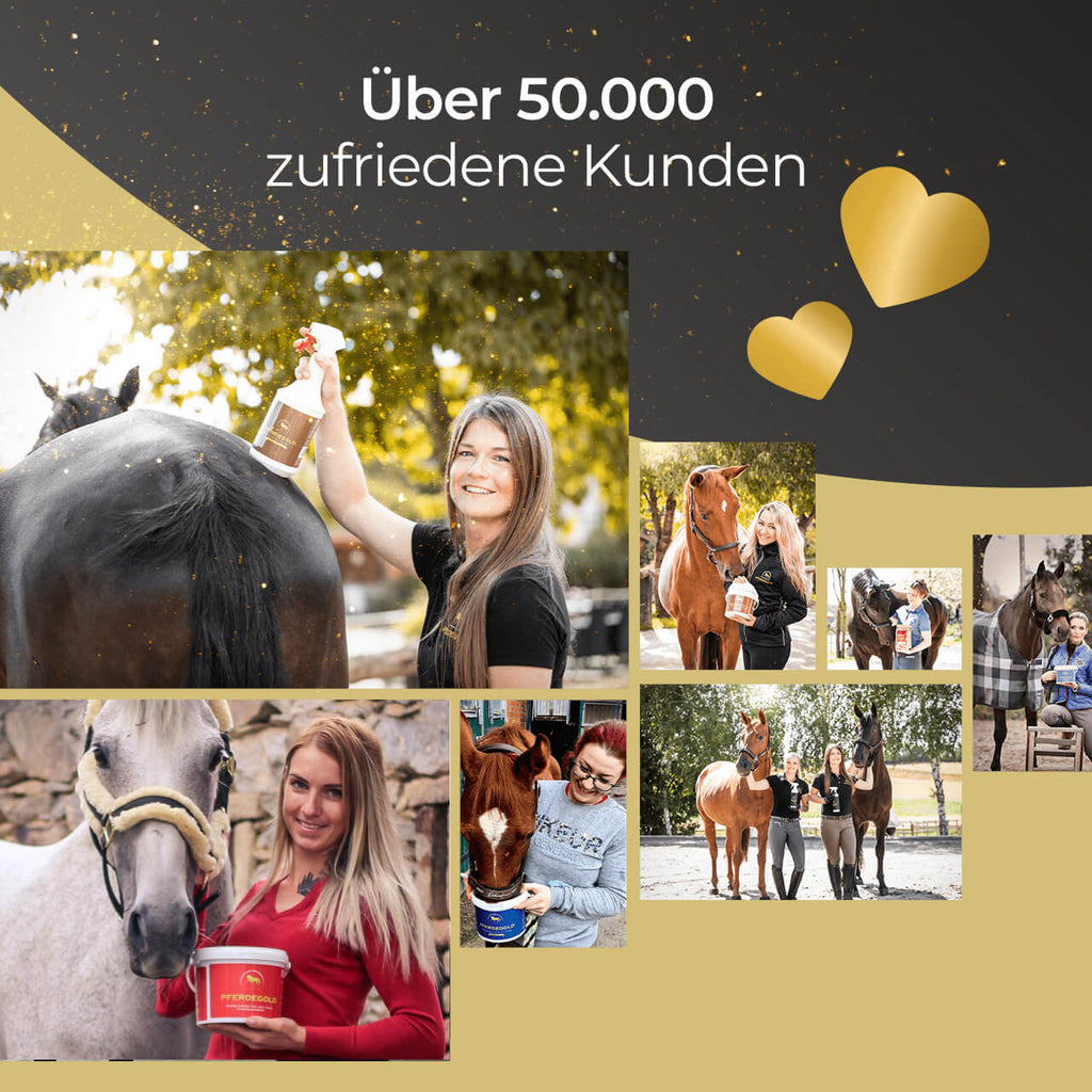 Pferdegold - Insektenschutzspray