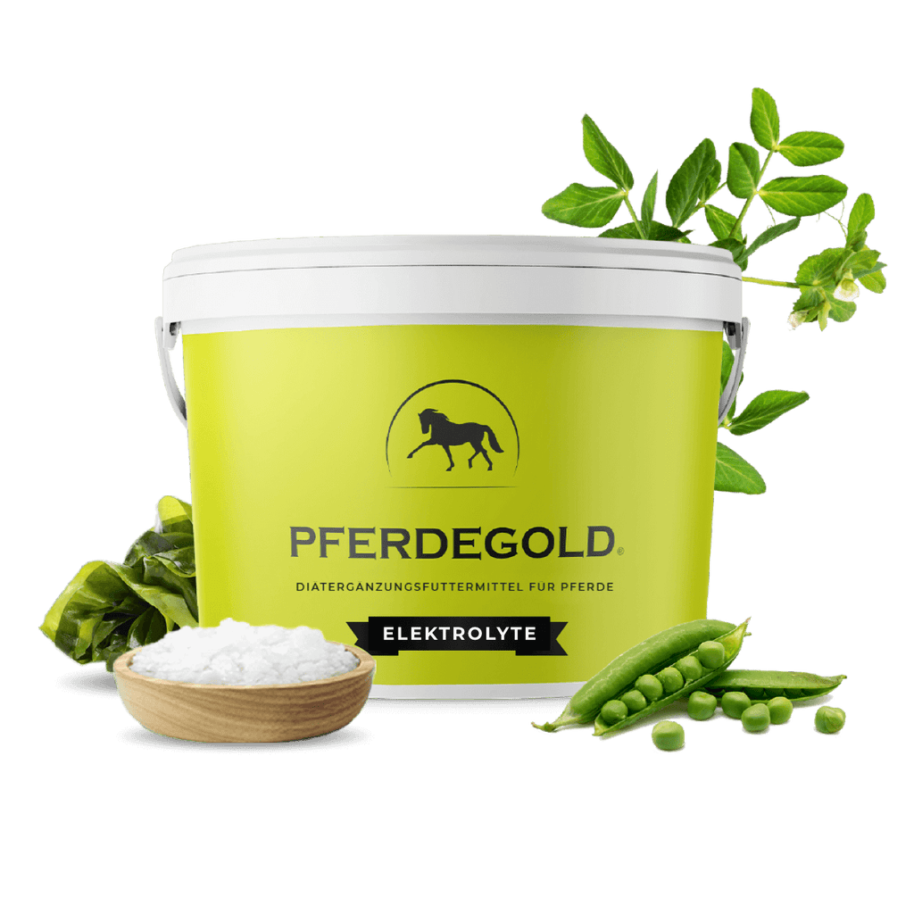 Pferdegold - Elektrolyte 1,5kg