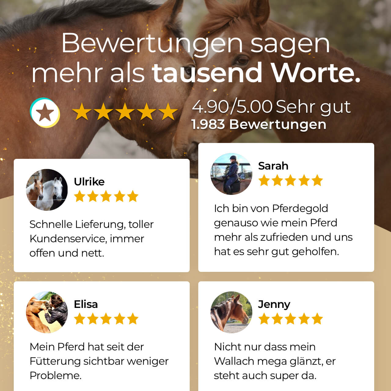 Pferdegold - Glanzbürste