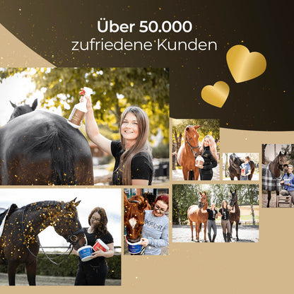 Pferdegold - Glanzbürste