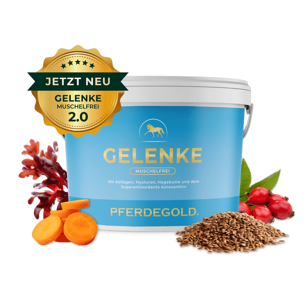 Pferdegold - Gelenke Muschelfrei 2.0