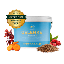 Pferdegold - Gelenke Muschelfrei 2.0