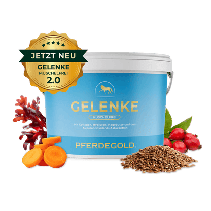 Pferdegold - Gelenke Muschelfrei 2.0