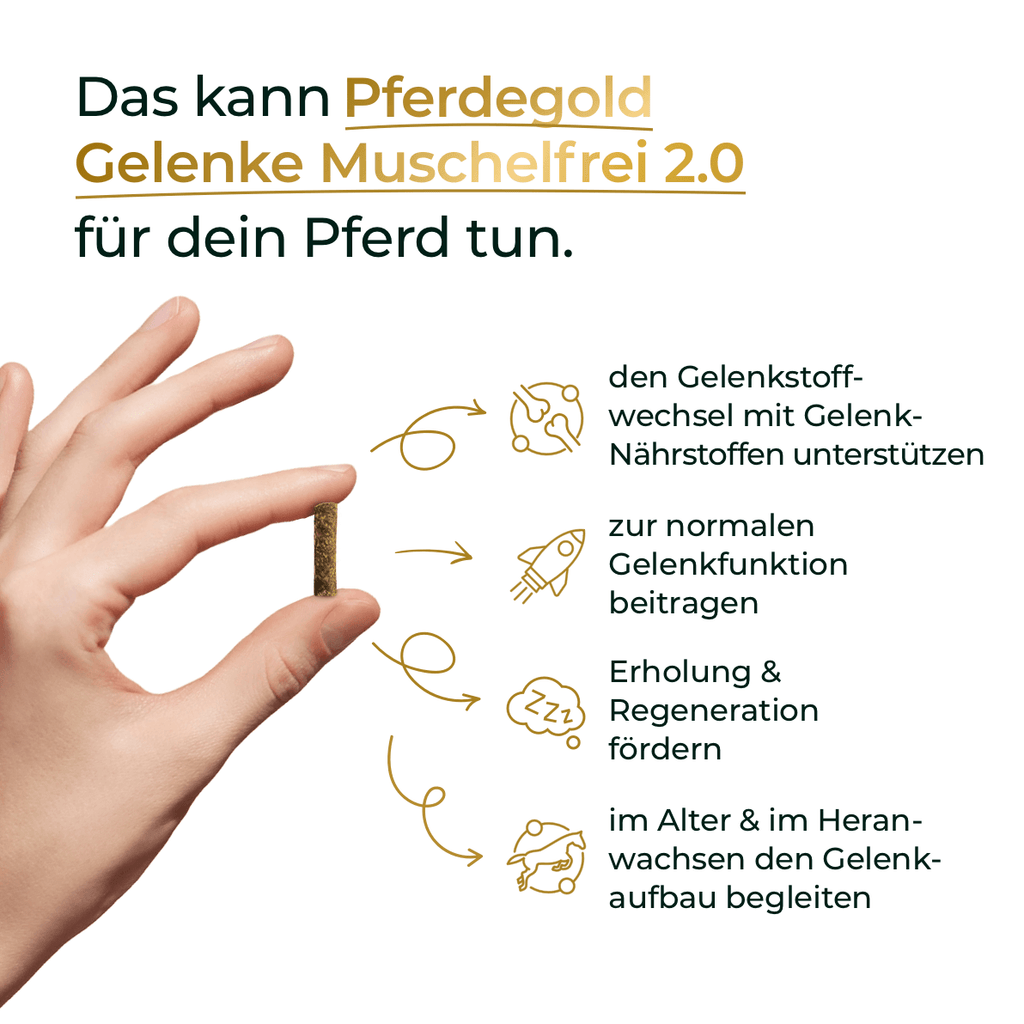 Pferdegold - Gelenke Muschelfrei 2.0