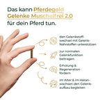 Pferdegold - Gelenke Muschelfrei 2.0