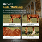 Pferdegold - Gelenke Muschelfrei 2.0