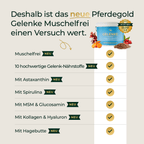 Pferdegold - Gelenke Muschelfrei 2.0