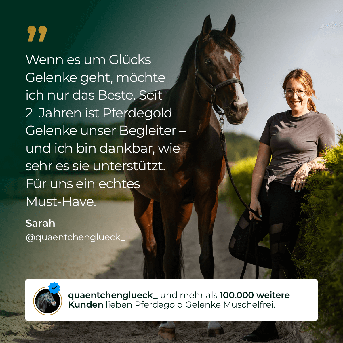 Pferdegold - Gelenke Muschelfrei 2.0