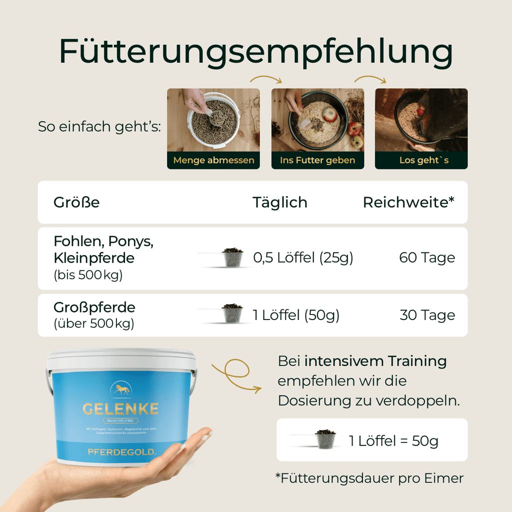 Pferdegold - Gelenke Muschelfrei 2.0