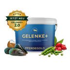 Gelenke+ 2.0