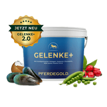 Gelenke+ 2.0