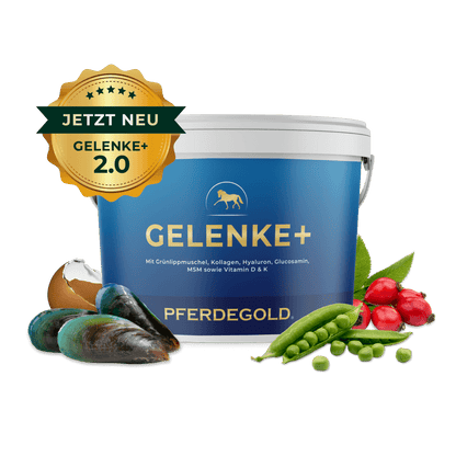Gelenke+ 2.0