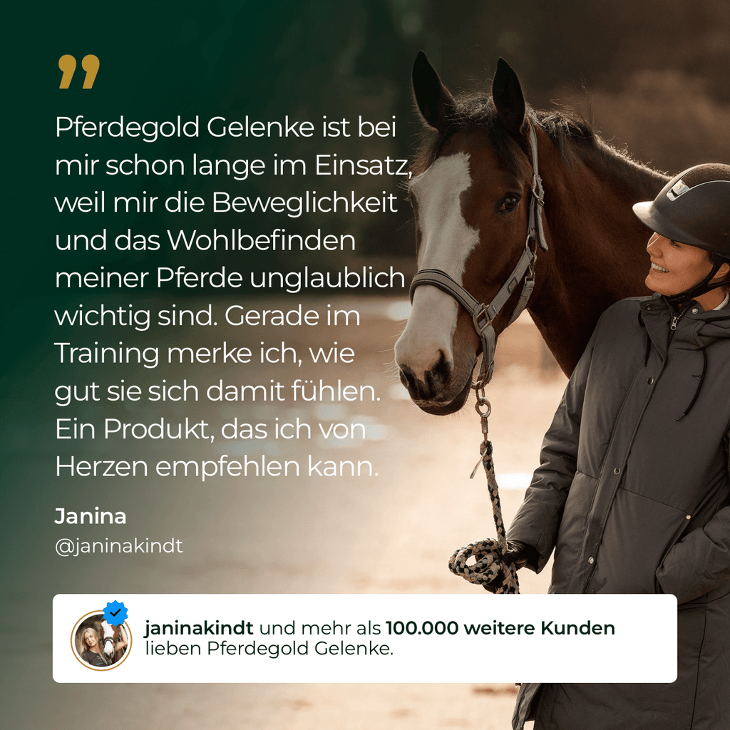 Gelenke+ 2.0