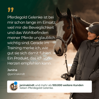 Gelenke+ 2.0