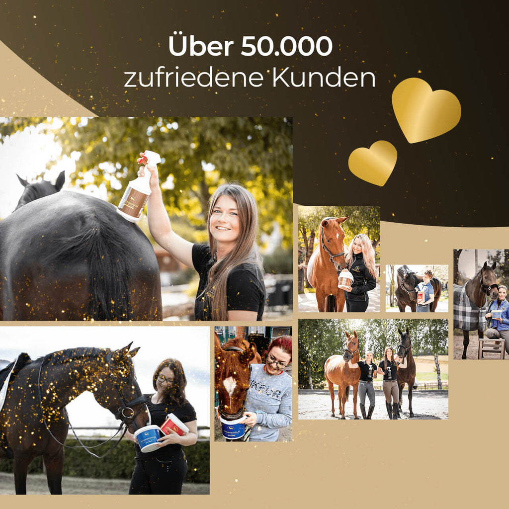 Pferdegold - Gummi Striegel