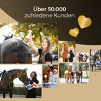 Pferdegold - Gummi Striegel