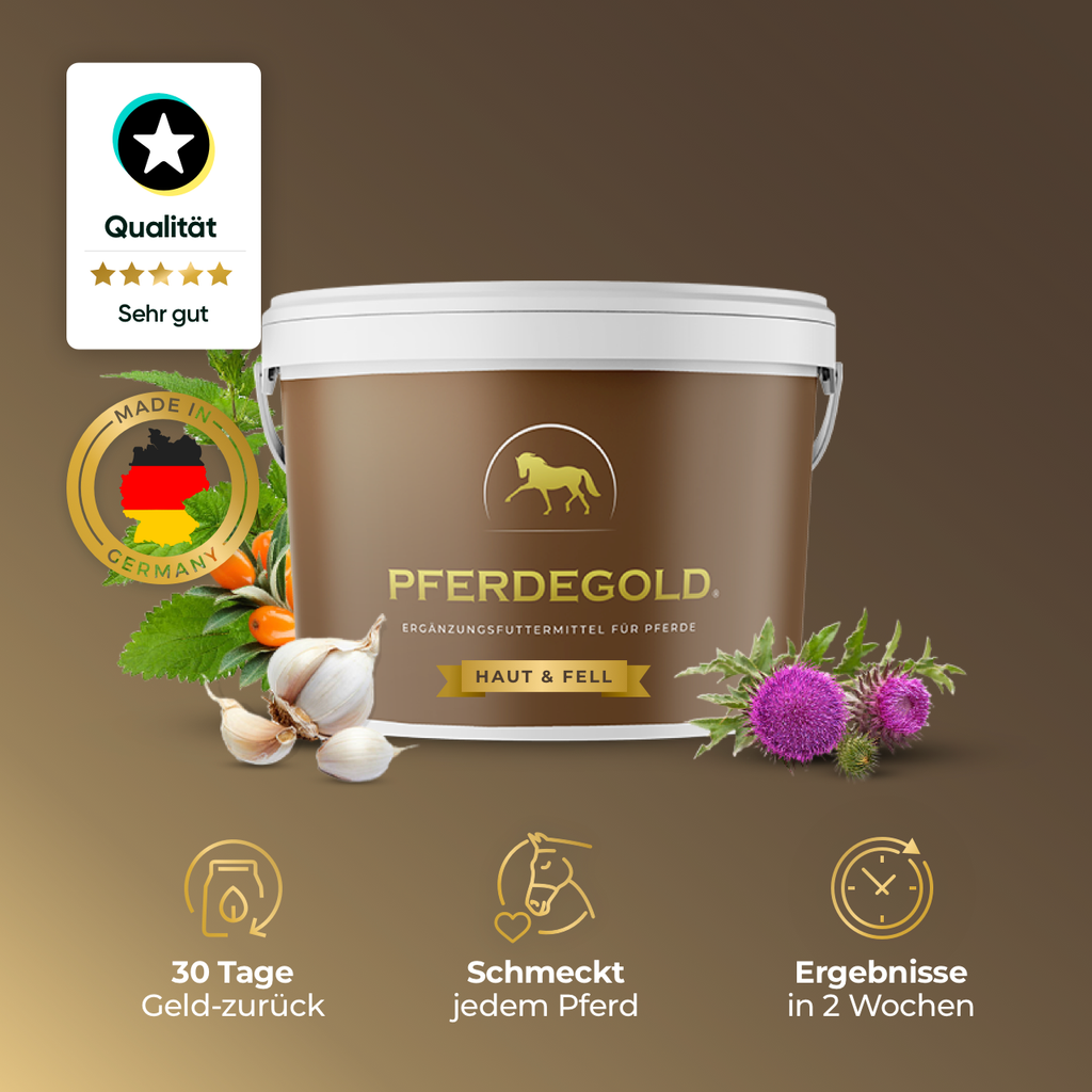 Pferdegold - Haut & Fell 1,5kg