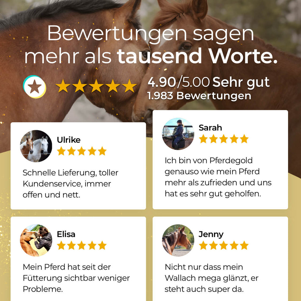 Pferdegold - Haut & Fell 1,5kg