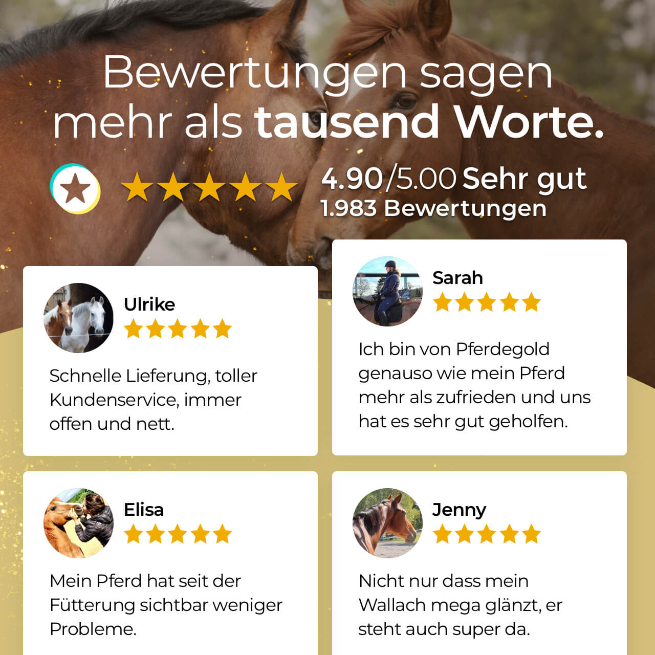 Pferdegold - Haut & Fell 1,5kg
