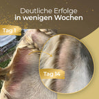 Pferdegold - Haut & Fell Spray