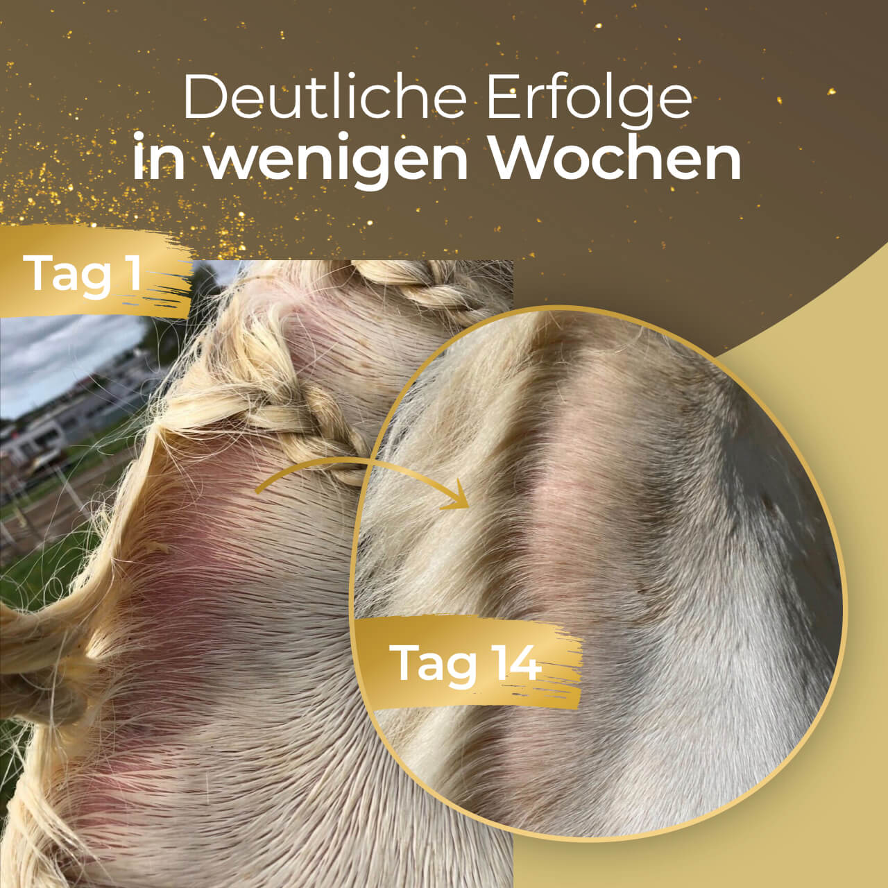 Pferdegold - Haut & Fell Spray