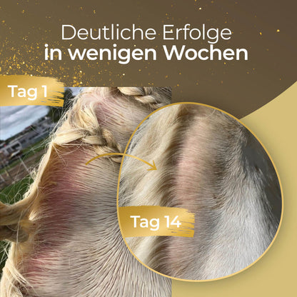 Pferdegold - Haut & Fell Spray