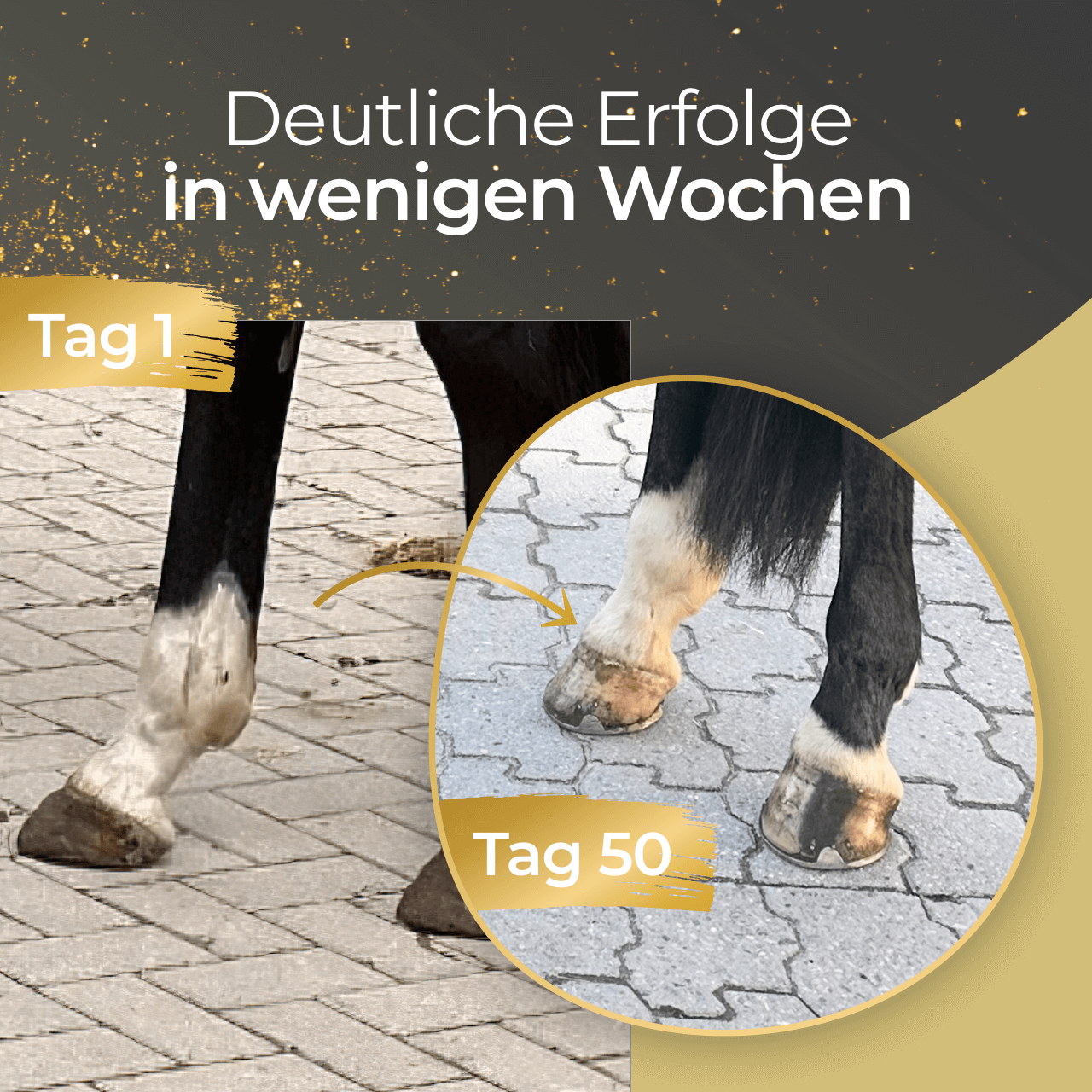 Pferdegold - Hufe 1,5kg