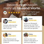 Pferdegold - Kardätsche