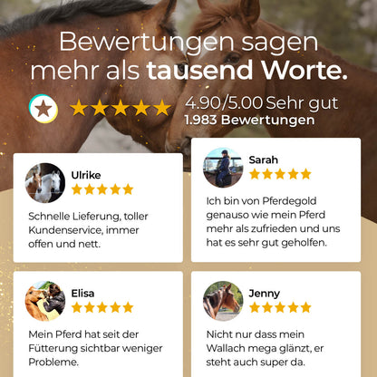 Pferdegold - Kardätsche