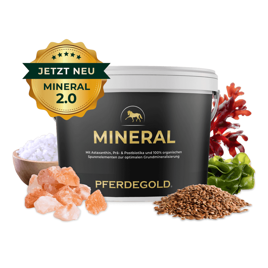 Pferdegold - Mineral 2.0