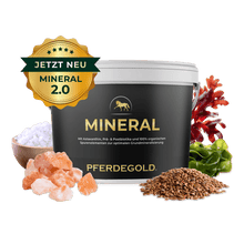 Pferdegold - Mineral 2.0