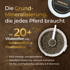Pferdegold - Mineral 2.0