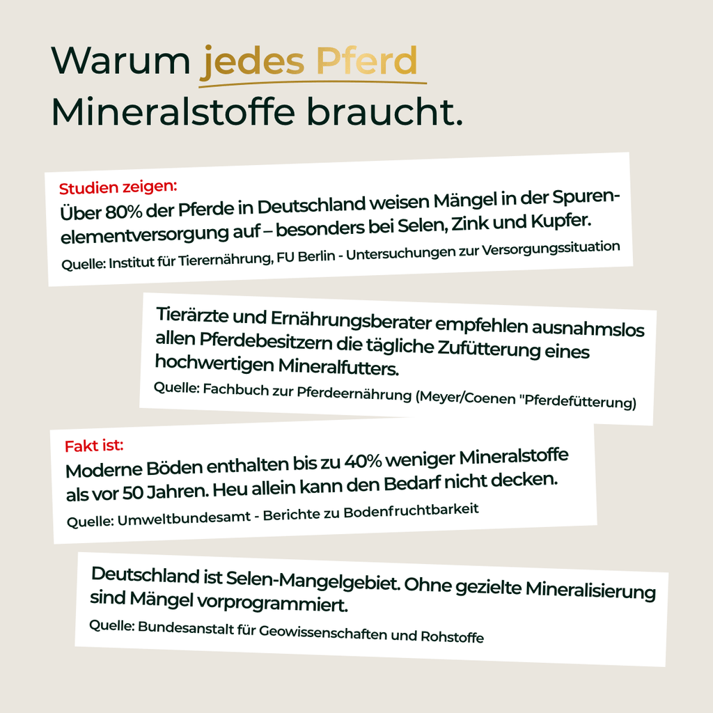 Pferdegold - Mineral 2.0