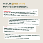 Pferdegold - Mineral 2.0