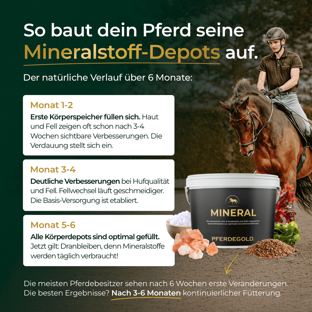 Pferdegold - Mineral 2.0