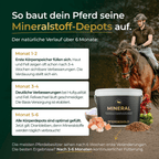 Pferdegold - Mineral 2.0
