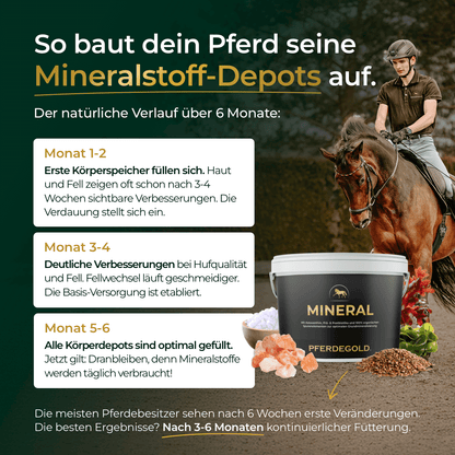 Pferdegold - Mineral 2.0