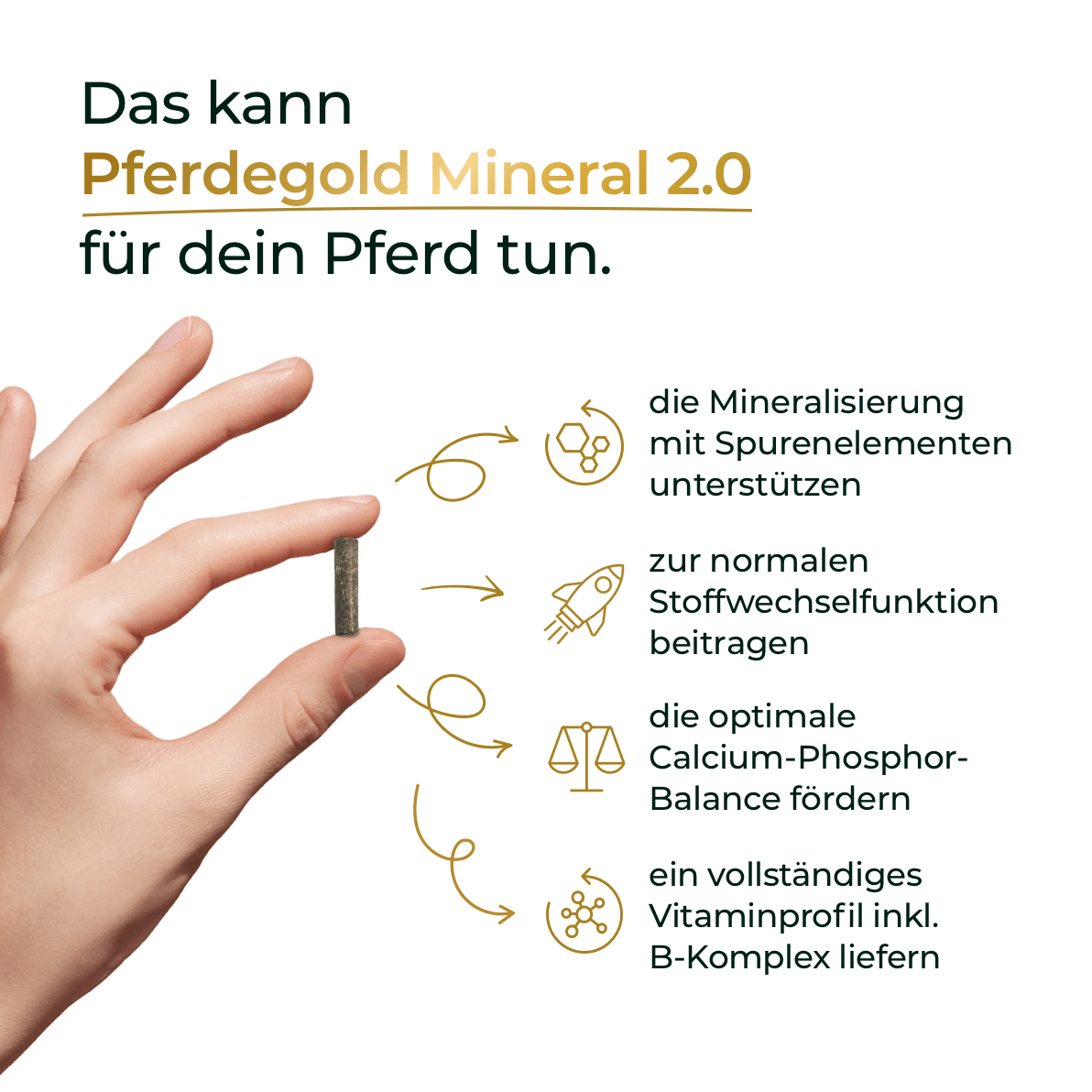 Pferdegold - Mineral 2.0
