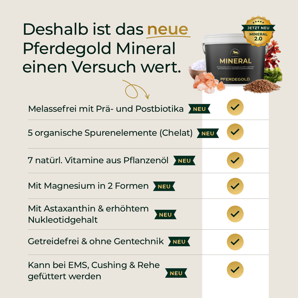 Pferdegold - Mineral 2.0