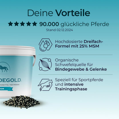 Pferdegold - MSM 1,5kg