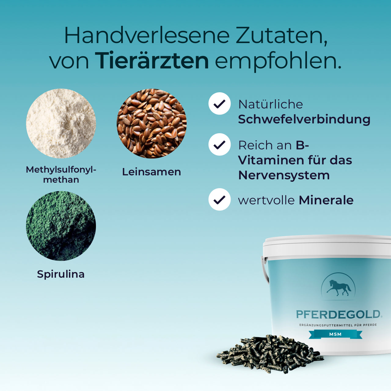Pferdegold - MSM 1,5kg