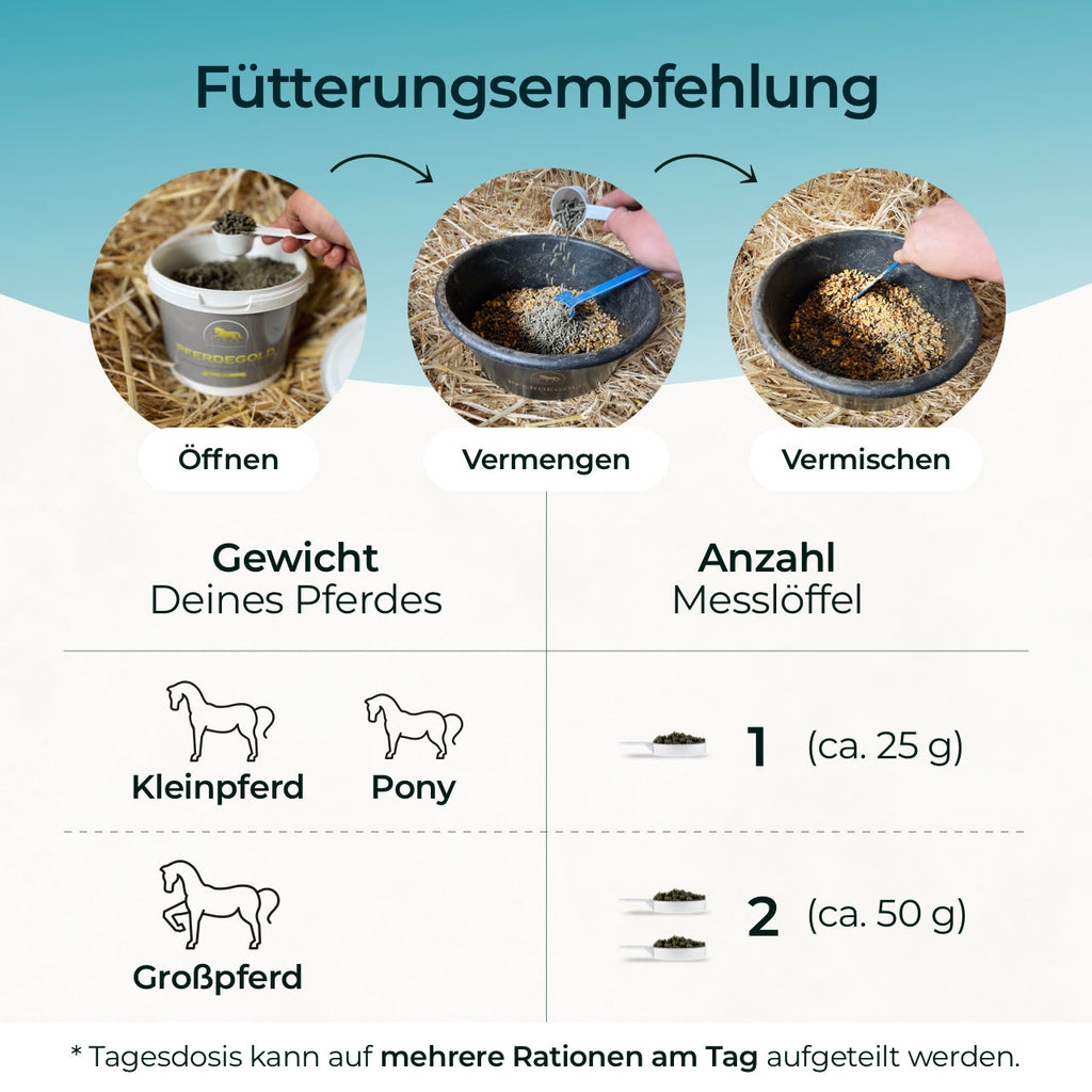 Pferdegold - MSM 1,5kg